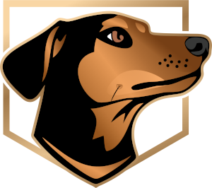 bella junk removal icon