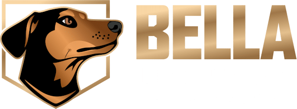 Bella Junk Removal logo